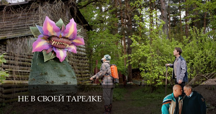 Не в своей тарелке (2026) 1 сезон 17 серия смотреть в 4K качестве онлайн