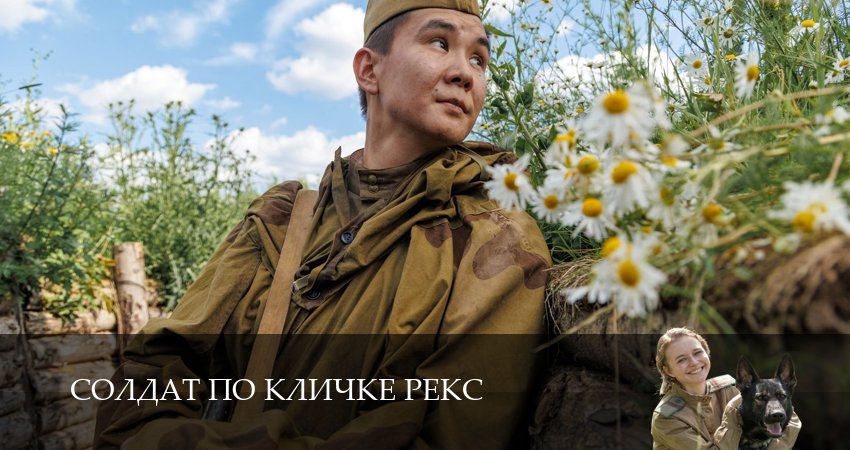 Солдат по кличке Рекс 1 сезон 2 серия все серии подряд онлайн бесплатно