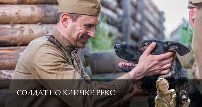 Сериал Солдат по кличке Рекс (1 сезон, 4 серия) смотреть бесплатно онлайн без рекламы