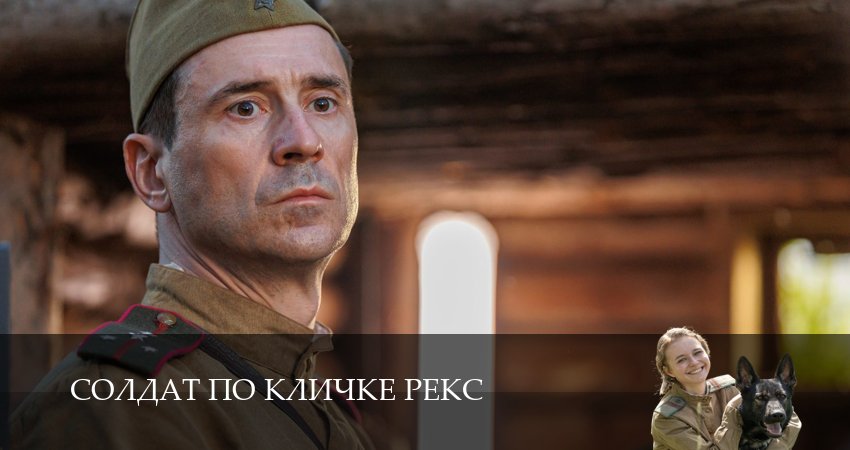Сериал Солдат по кличке Рекс (1 сезон, 2026) смотреть онлайн