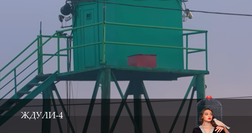 Ждули (2026) 4 сезон 5 серия полностью смотреть бесплатно без рекламы