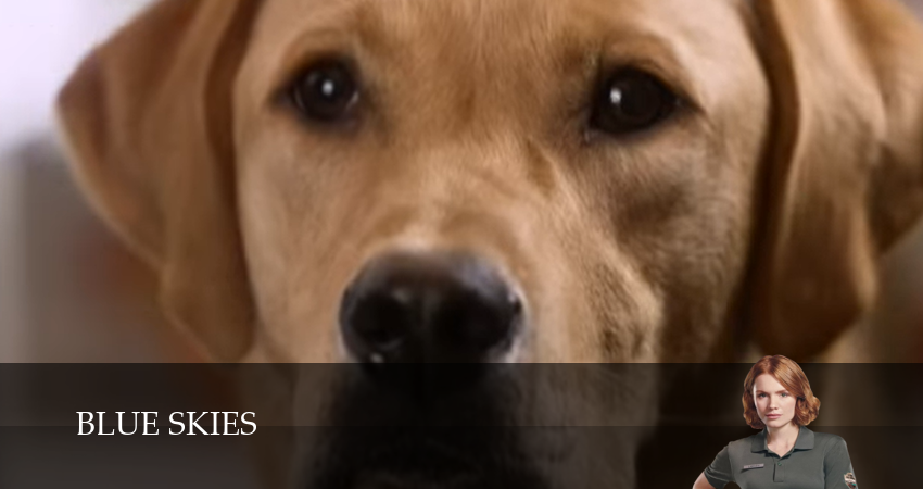 Голубые небеса (1 сезон, 4 серия) смотреть онлайн бесплатно в хорошем HD 1080 качестве