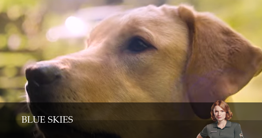 Голубые небеса (1 сезон, 2026) смотреть онлайн бесплатно в хорошем HD качестве