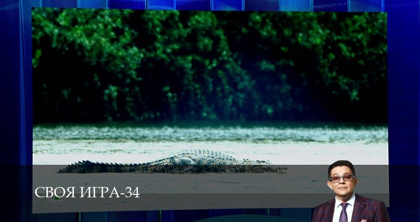 Сериал Своя игра (Svoya igra) (34 сезон, 30 серия) смотреть онлайн бесплатно в хорошем качестве