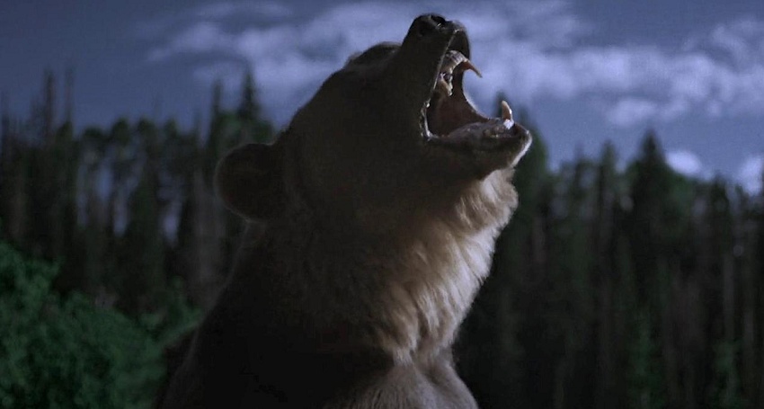 Ночь гризли (2026) (США) онлайн бесплатно в высоком качестве