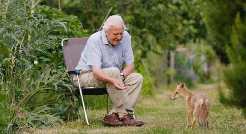 Дикий Лондон (2026) (2026) смотреть онлайн 720p или 1080p