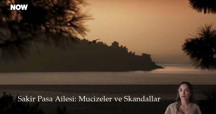 Династия Шакир-паши: чудеса и скандалы 1 сезон 49 серия смотреть онлайн 720p или 1080p