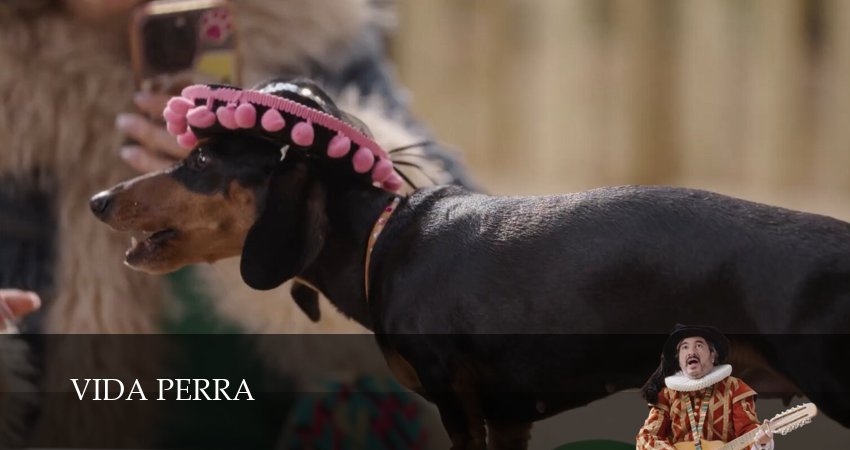 Собачья жизнь (Сериал) (2026) 1 сезон 8 серия онлайн бесплатно в высоком качестве