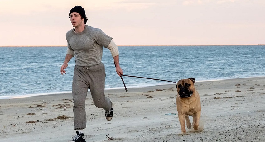 Фильм Рокки - это я (2026) все серии