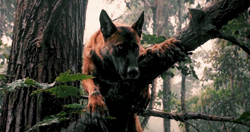 Фильм Псарня (2025) смотреть онлайн бесплатно в хорошем HD качестве