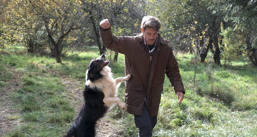 Пропала собака (2025) смотреть бесплатно онлайн без рекламы