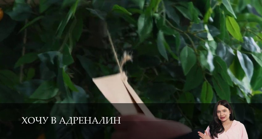 Сериал Хочу в адреналин (2 сезон, 9 серия) смотреть онлайн бесплатно без рекламы