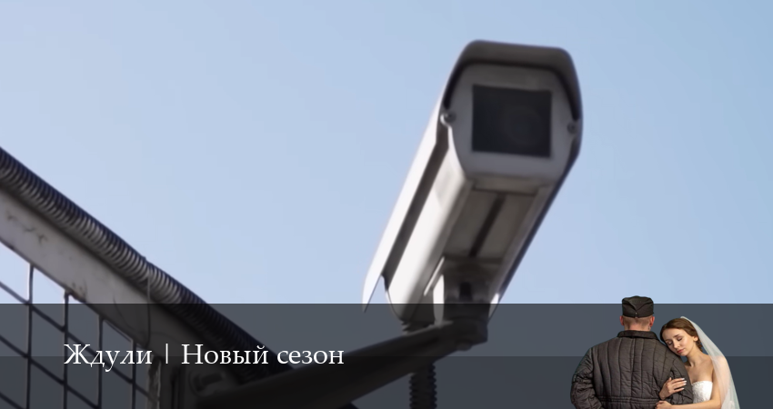 Онлайн сериал Ждули | Новый сезон 2026 (1-й сезон) лордфильм