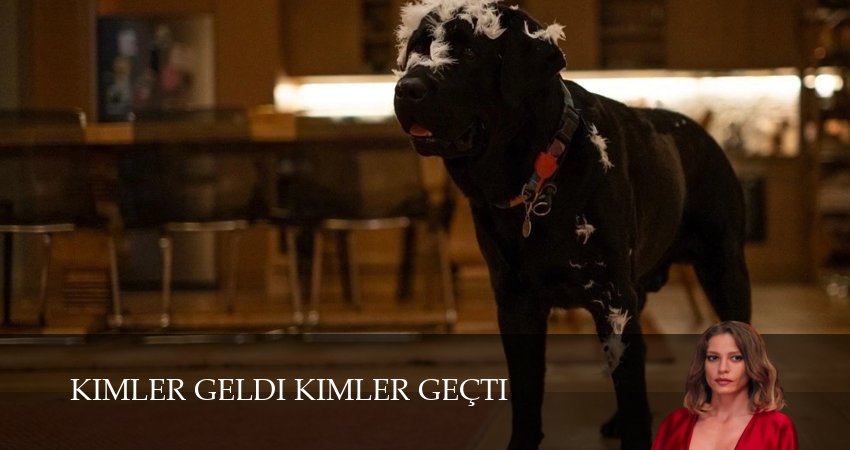 Сериал Кто пришел кто ушел (1 сезон, 1-46,47,48 серия) смотреть полностью бесплатно с переводом | 2026