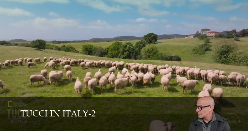 Туччи в Италии (2 сезон, 1-14,15,16 серия) сериал (2026) смотреть полностью бесплатно