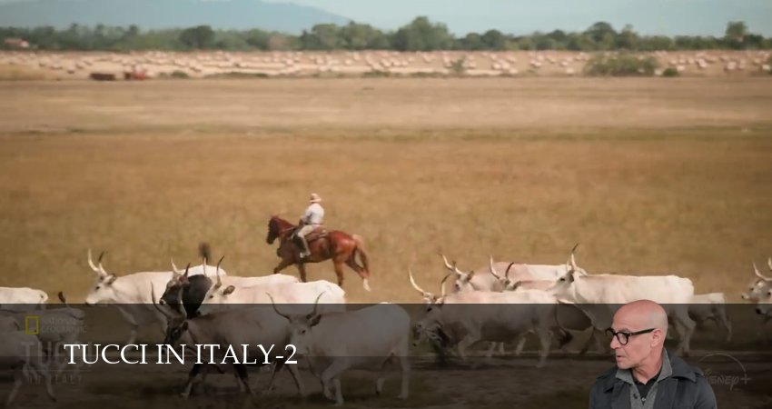 Туччи в Италии 1-14,15,16 все серии смотреть в хорошем качестве