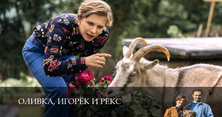 Сериал Оливка, Игорёк и Рекс 1,2,3,4,5,6,7,8,9,10,11,12 серия смотреть онлайн бесплатно и без рекламы