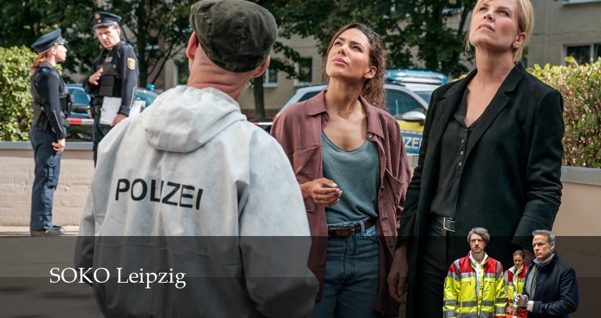 Сериал Криминальный кроссворд (26 сезон, 1-29,30,31 сери, 2026) смотреть онлайн бесплатно