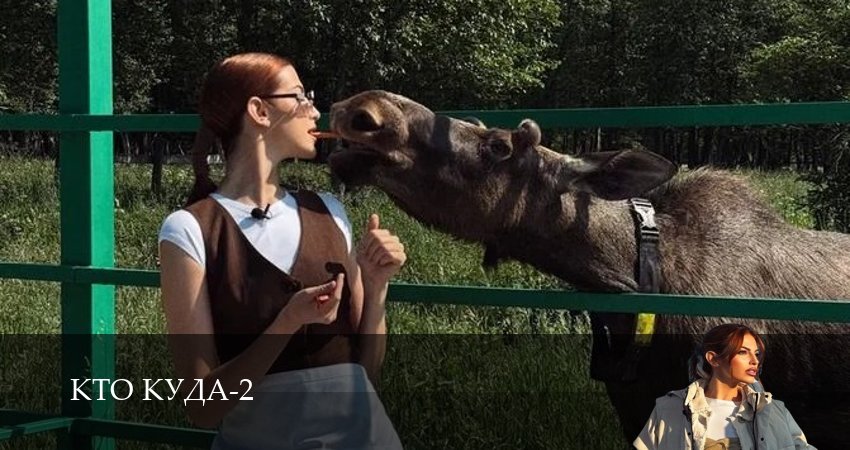 Кто куда (2 сезон, 1-29,30,31 серия) смотреть онлайн полностью в качестве HD, 4K