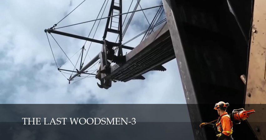 Последние лесорубы (3 сезон, 1-29,30,31 серия) смотреть без регистрации