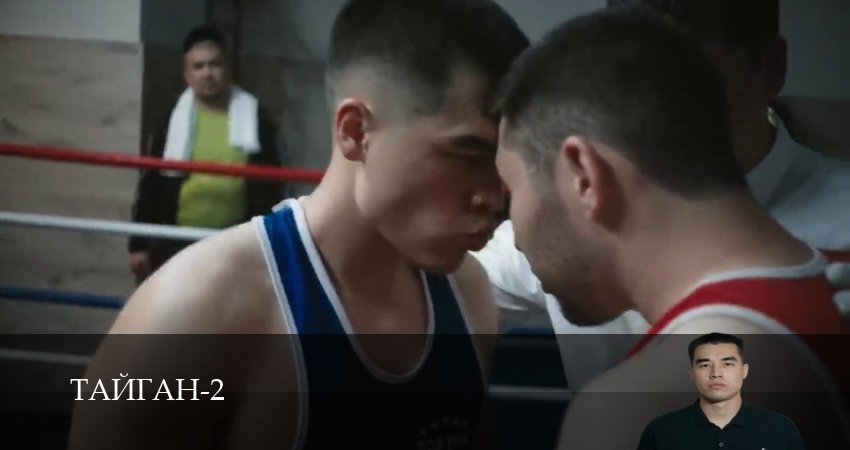 HD - Тайган 2 сезон  9 серия : все серии бесплатно