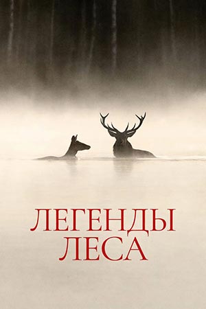 Легенды леса 2 (2026, Франция) смотреть фильм онлайн