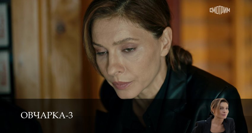 Смотреть сериал Овчарка (4 сезон, 1-19,20,21 серия) без регистрации
