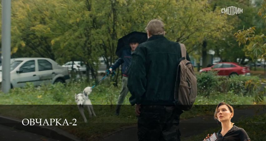 Овчарка (2 сезон, 1-19,20,21 серия) смотреть в хорошем качестве