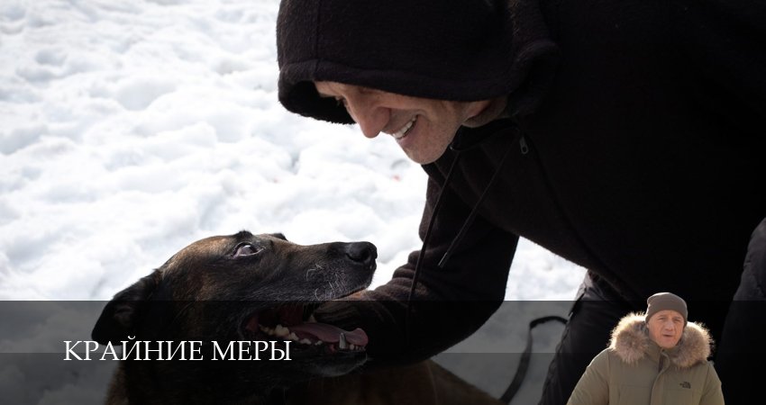 Крайние меры 1-34,35,36 серия смотреть бесплатно без регистрации
