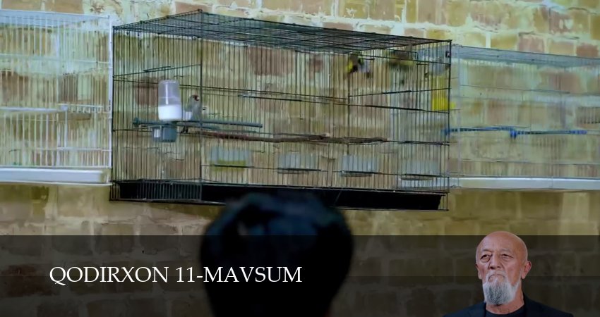 Qodirxon 11-mavsum (1 сезон, 1-109,110,111 серия) смотреть онлайн без регистрации | 2026