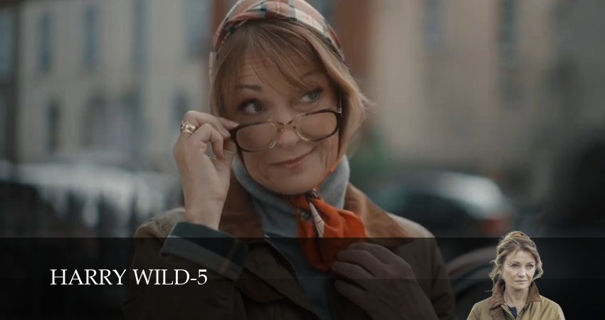 Гарри Уайлд (6 сезон, 1,2,3,4,5,6,7,8,9,10 серия) смотреть онлайн бесплатно | 2026