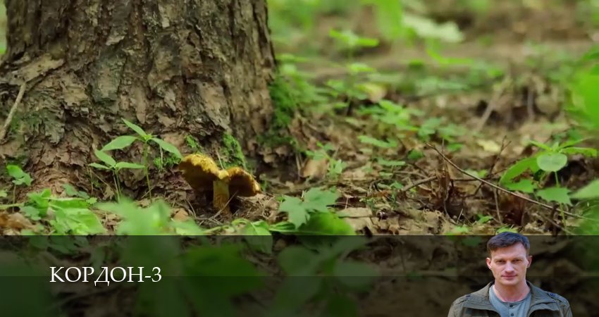 Кордон 3 сезон 1-42,43,44 серия смотреть онлайн бесплатно без лагов и пауз через рабочее зеркало