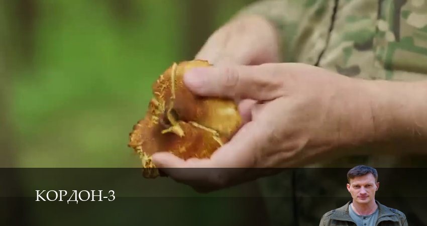 Кордон - 3 сезон 1-42,43,44 серия смотреть онлайн бесплатно - новинка кино 2026