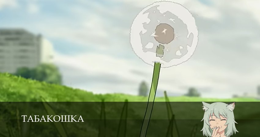Смотреть сериал Табакошка 1 сезон 1-14,15,16 серия онлайн бесплатно в оригинале без цензуры
