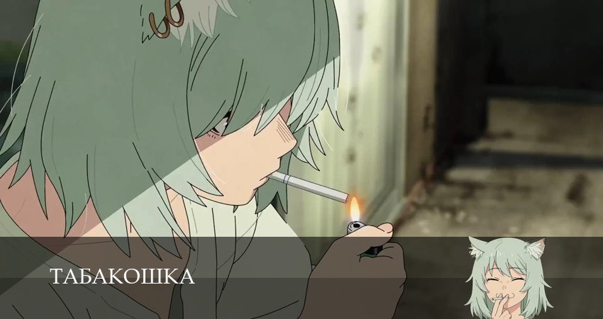 Смотреть Табакошка (1 сезон, 1-14,15,16 серия) в хорошем качестве | 2026