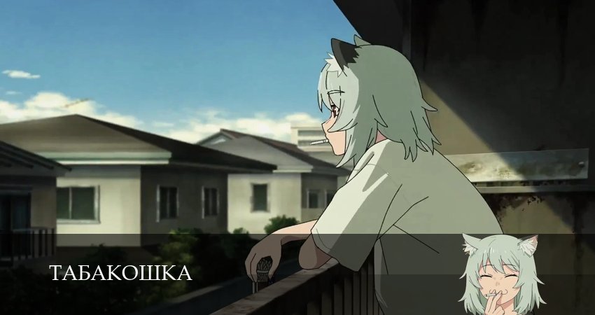 Табакошка 1 сезон 1-14,15,16 серия смотреть онлайн бесплатно в качестве HD 1080p