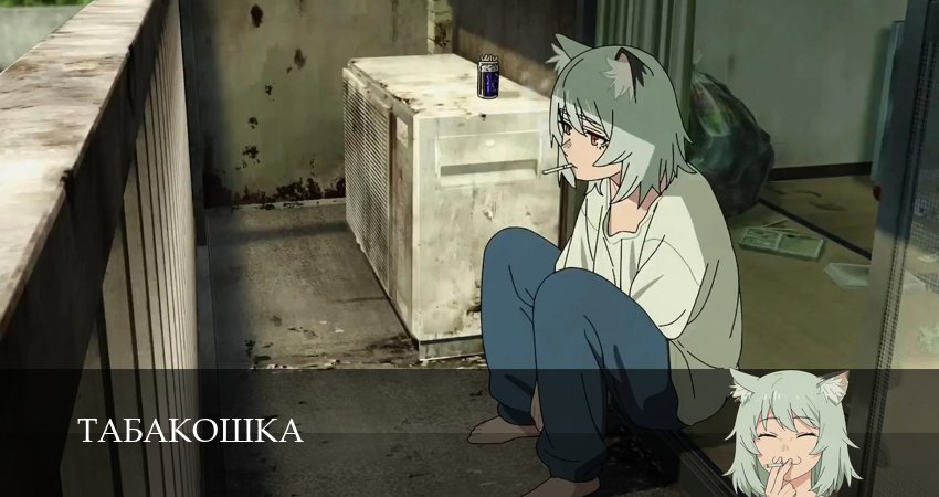 Табакошка 1-14,15,16 серия смотреть онлайн бесплатно в качестве HD 1080p