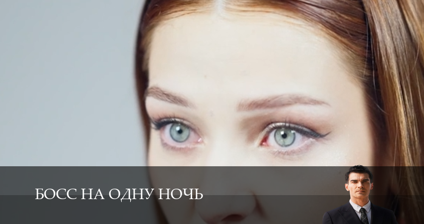 Online - Босс на одну ночь 1 сезон  23 серия —