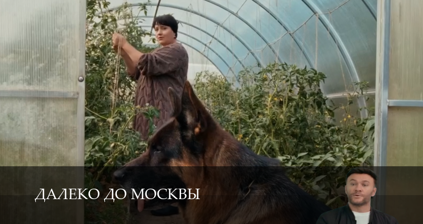 Далеко до Москвы 1 сезон  2 серия смотреть сейчас