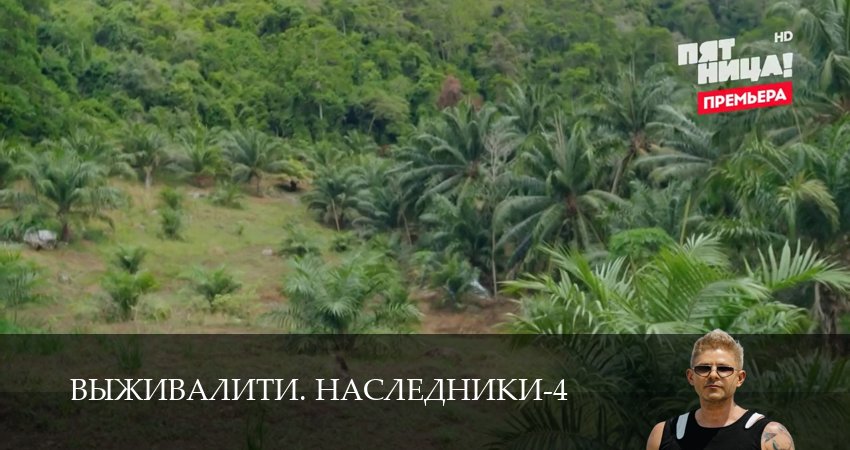 Плеер
