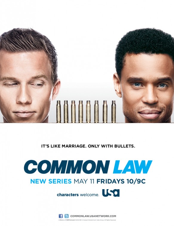 Общее дело (Common Law) 2 сезон (2012) смотреть сериал онлайн