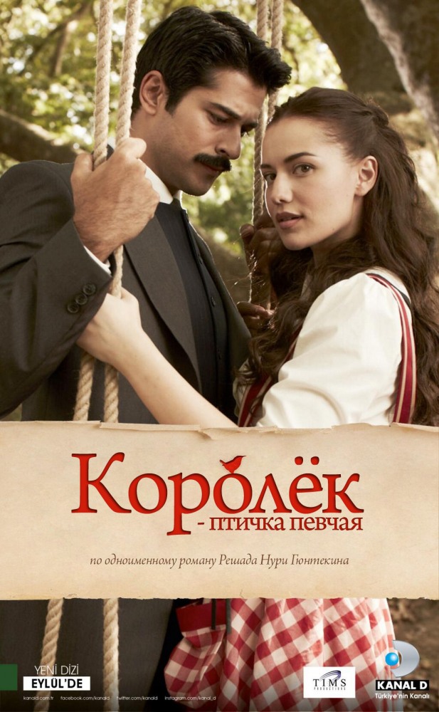 Королёк - птичка певчая (Calikusu) (2013) смотреть сериал онлайн