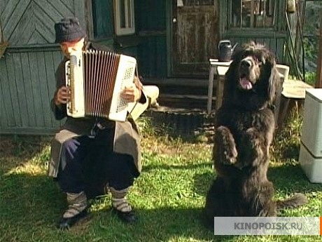 Смотреть сериал Семейный дом (Semeynyy dom) (2010) 1 сезон 2 серия в хорошем качестве онлайн