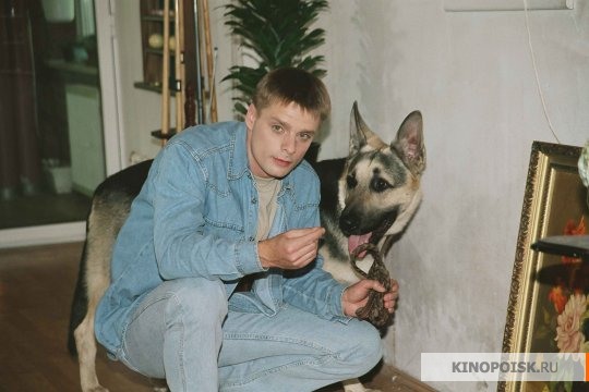 Смотреть онлайн бесплатно Возвращение Мухтара (Vozvrashchenie Mukhtara) (2 сезон) лордфильм