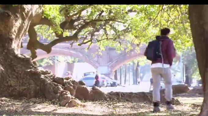 Виолетта (Violetta) 3 сезон 10 серия все серии подряд онлайн бесплатно