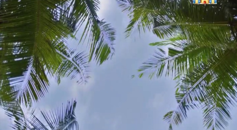 Остров (Ostrov) 1 сезон 9 серия смотреть онлайн бесплатно в хорошем качестве