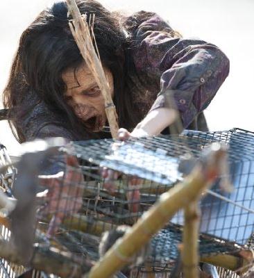 Смотреть сериал Ходячие мертвецы (The Walking Dead) 3 сезон 12 серия в отличном качестве