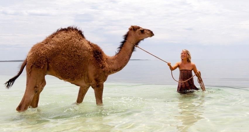 Тропы (Австралия) 2013 смотреть в HD 1080 без регистрации