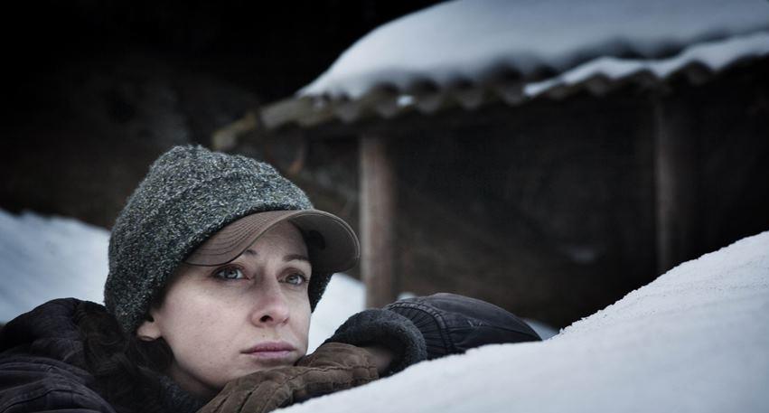 Фильм Ледяной лес 2014 смотреть онлайн бесплатно в хорошем качестве