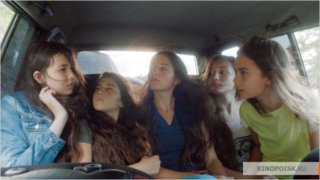 Мустанг (Франция) 2015 смотреть онлайн бесплатно